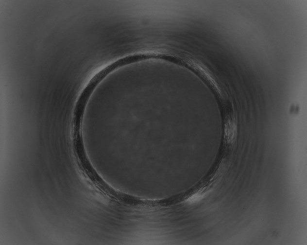 X0000091690724200708301540
