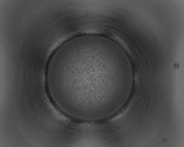 X0000091690725200708301540
