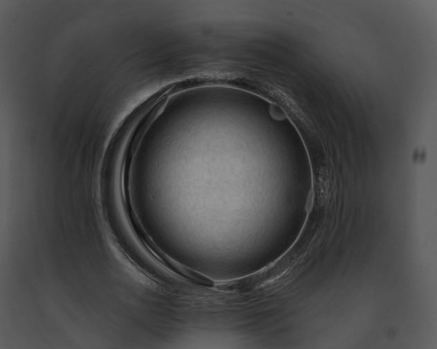 X0000091690726200708301540
