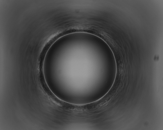 X0000091690727200708301540