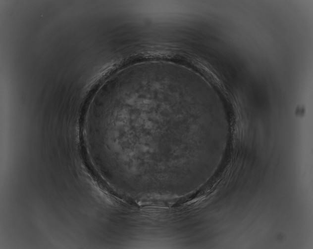 X0000091690729200708301540