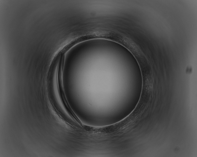 X0000091690730200708301540