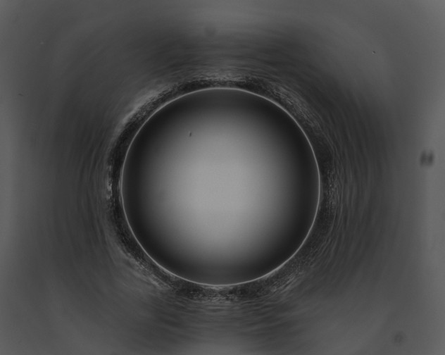 X0000091690731200708301540
