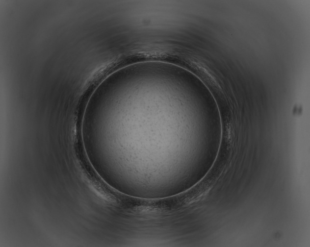 X0000091690733200708301540