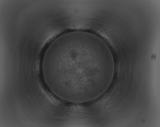 X0000091690735200708301540