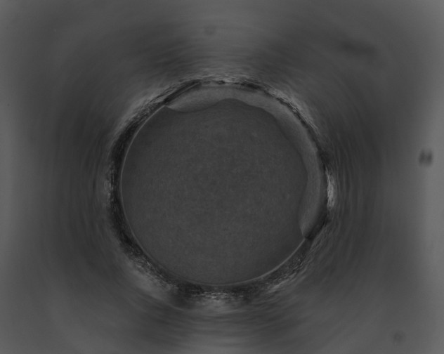 X0000091690736200708301540