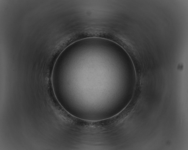 X0000091690737200708301540
