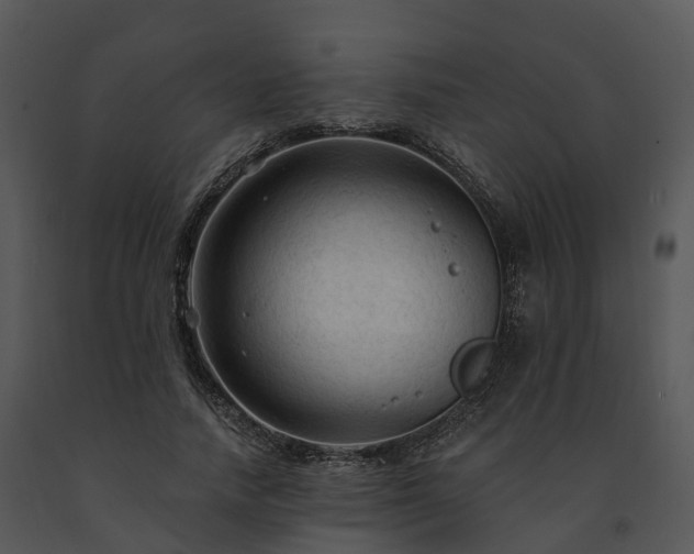 X0000091690738200708301540