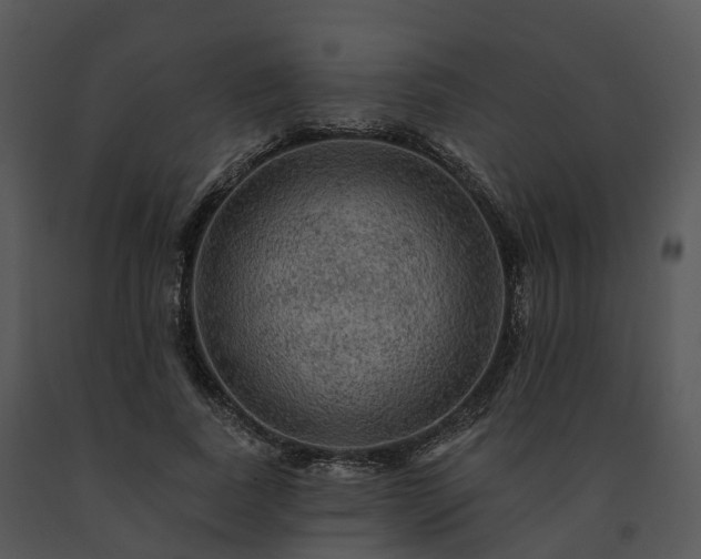 X0000091690739200708301540