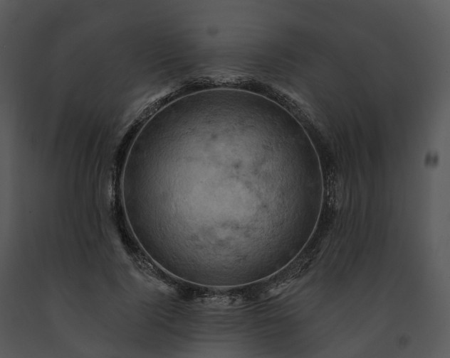 X0000091690740200708301540