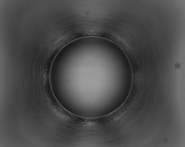 X0000091690741200708301540