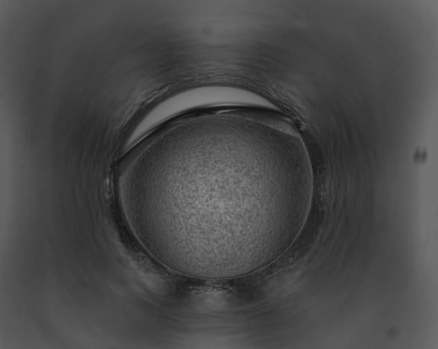 X0000091690743200708301540