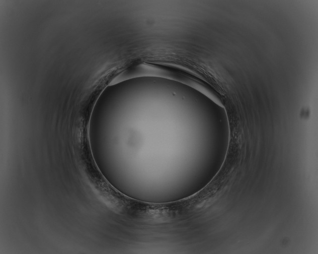 X0000091690744200708301540