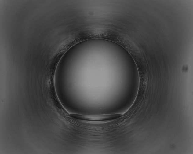 X0000091690746200708301540