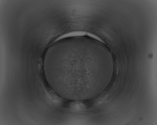 X0000091690747200708301540