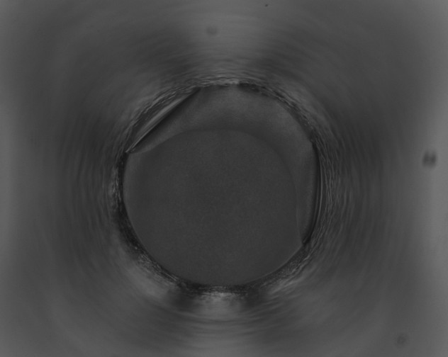 X0000091690748200708301540