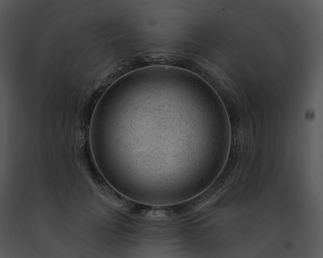 X0000091690751200708301540