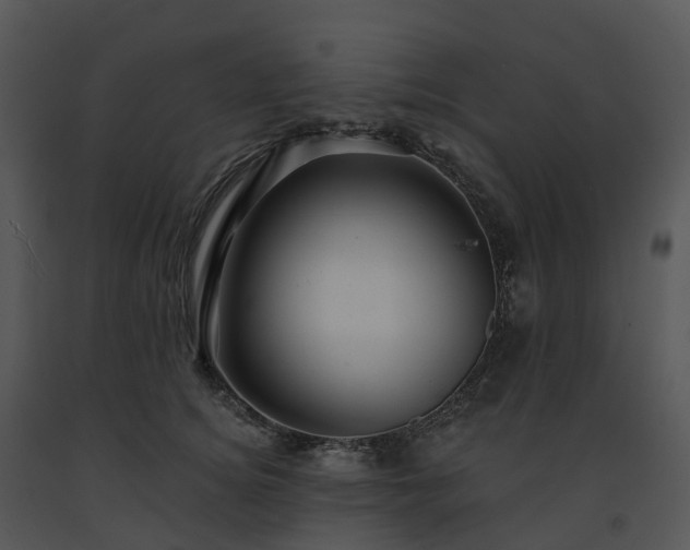 X0000091690756200708301540