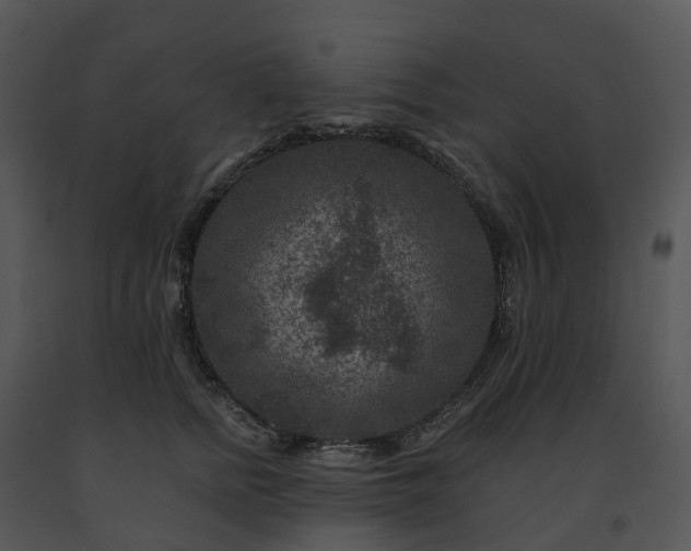 X0000091690758200708301540