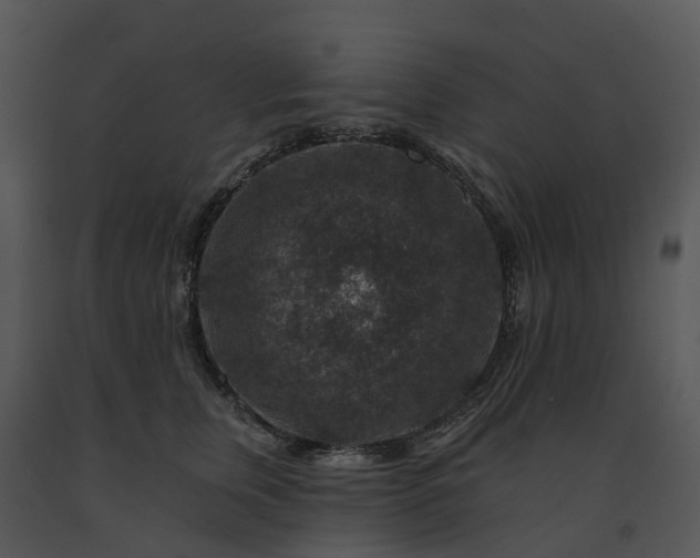 X0000091690759200708301540