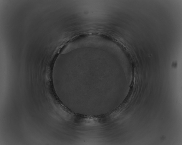 X0000091690760200708301540