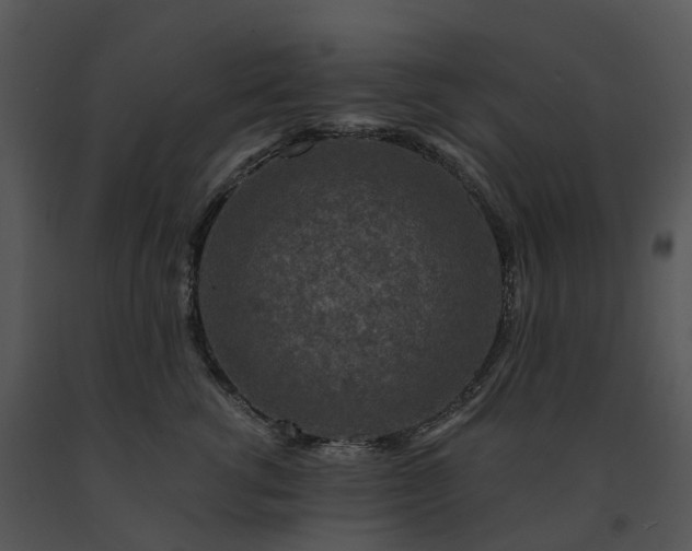 X0000091690762200708301540