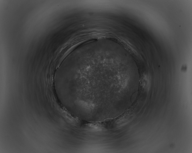 X0000091690763200708301540