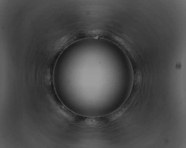 X0000091690764200708301540