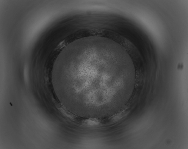 X0000091690765200708301540