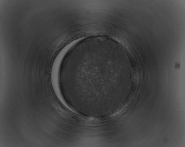 X0000091690766200708301540