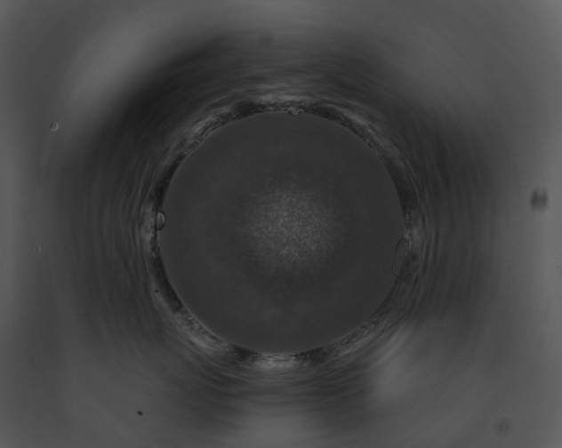 X0000091690767200708301540