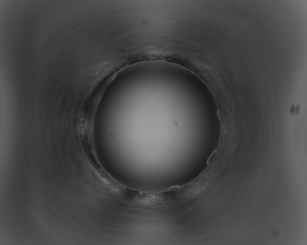 X0000091690768200708301540