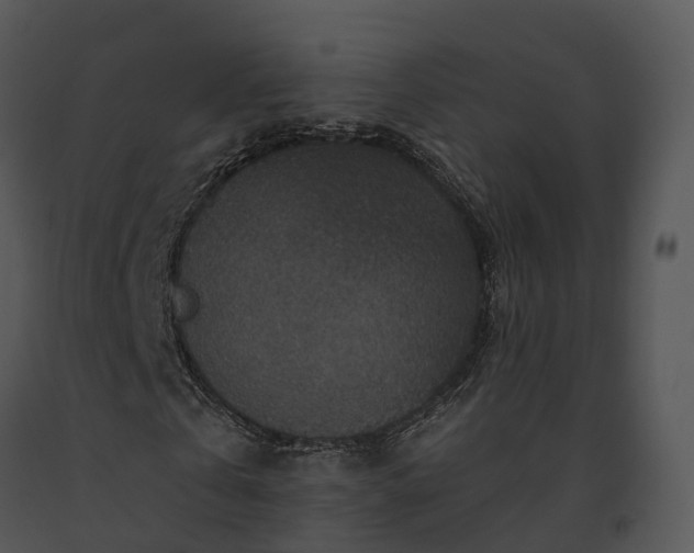 X0000091690769200708301540