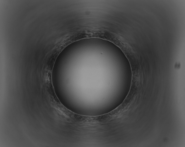 X0000091690770200708301540