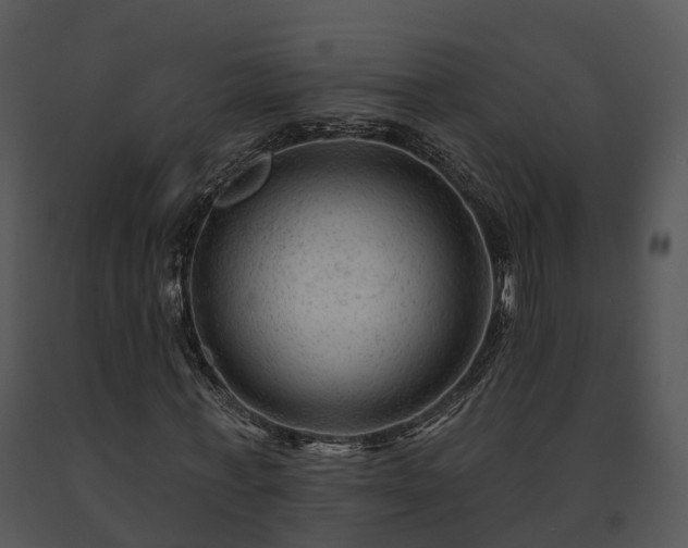 X0000091690771200708301540