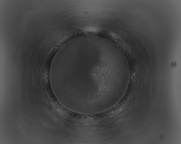 X0000091690772200708301540
