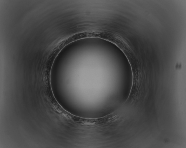 X0000091690773200708301540