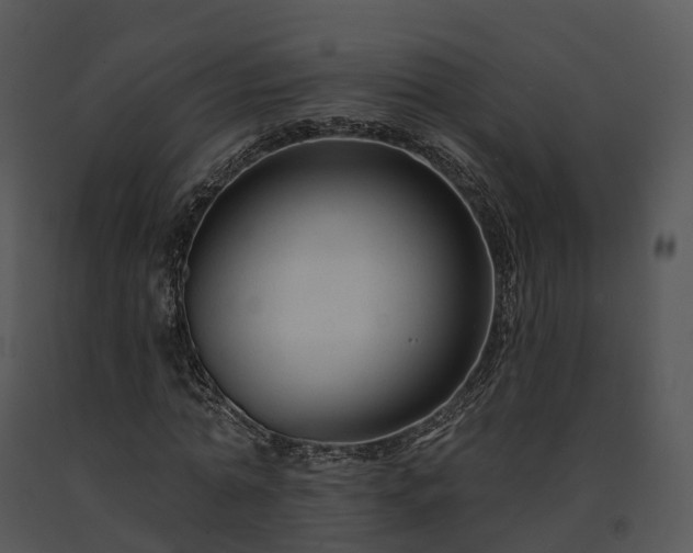 X0000091690774200708301540