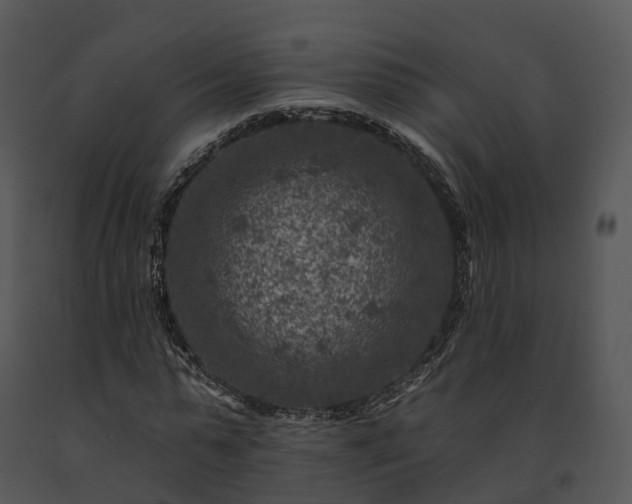 X0000091690775200708301540