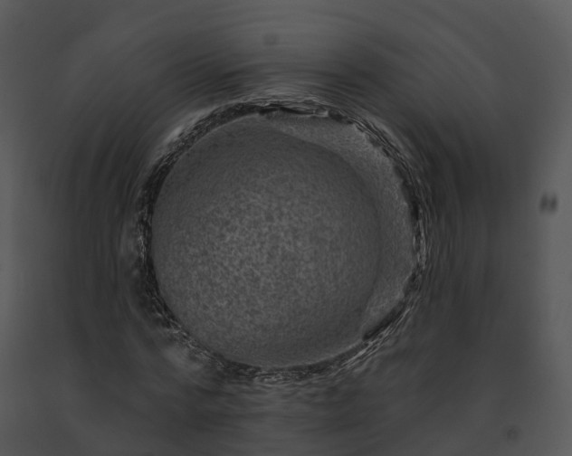X0000091690776200708301540