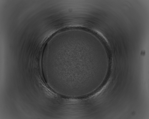 X0000091690777200708301540