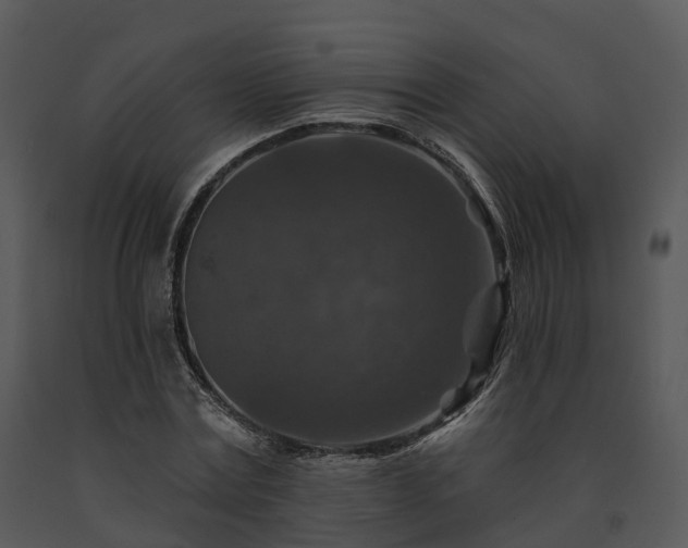 X0000091690779200708301539