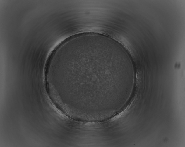 X0000091690780200708301539