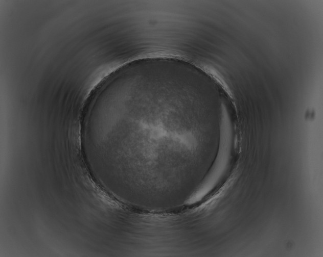 X0000091690781200708301539