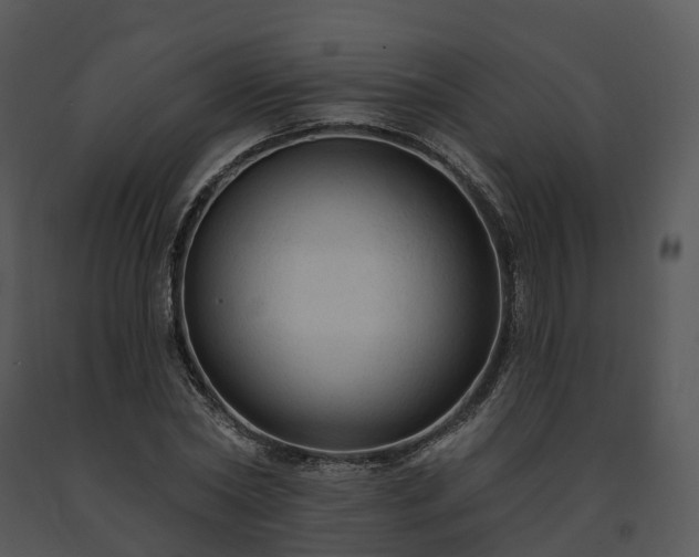 X0000091690782200708301539