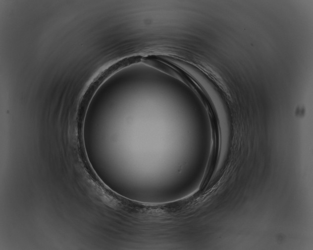 X0000091690784200708301539