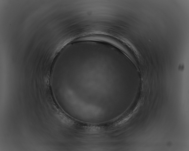 X0000091690785200708301539