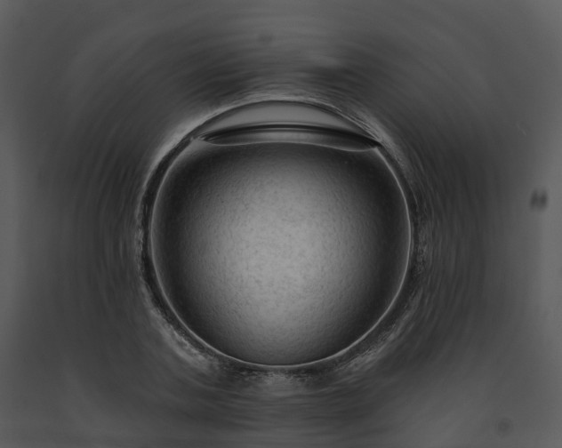 X0000091690787200708301539
