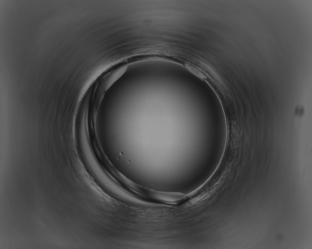 X0000091690788200708301539