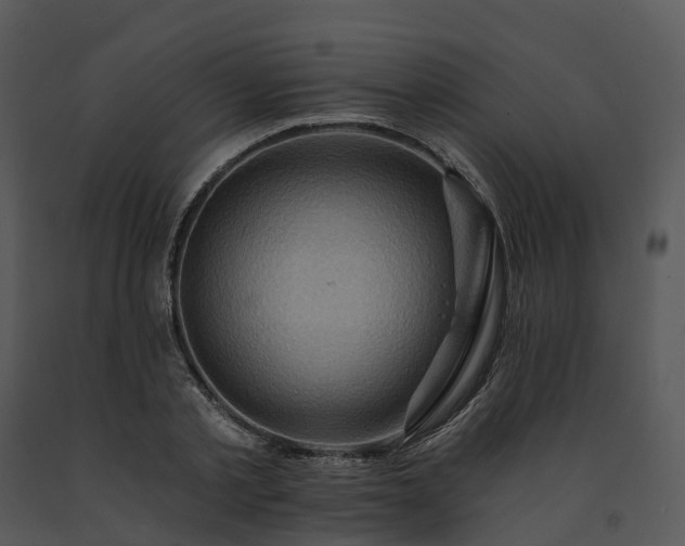 X0000091690789200708301539